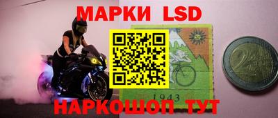 гашик Новозыбков