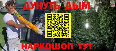 гашик Новокубанск