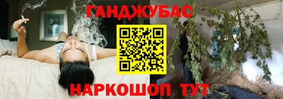 гашик Новозыбков