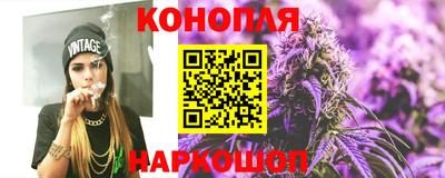 гашик Новокубанск