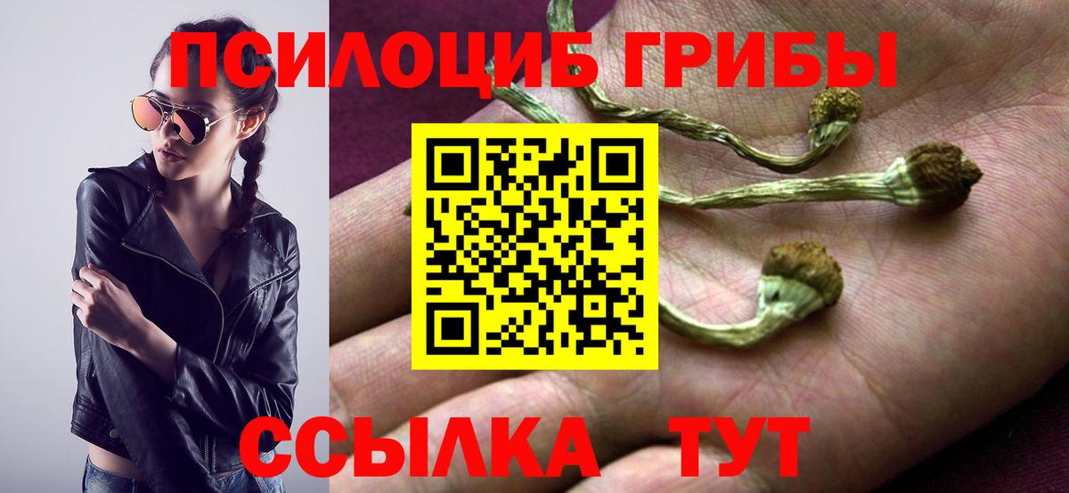 купить   Вход с VPN  Псилоцибиновые грибы Psilocybine cubensis  Стрежевой  Псилоцибиновые грибы ЛСД 